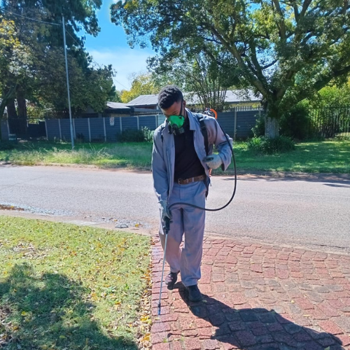 Untitled design (10)