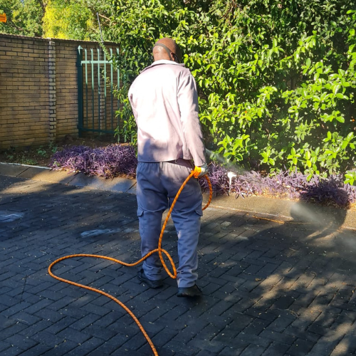 Untitled design (50)