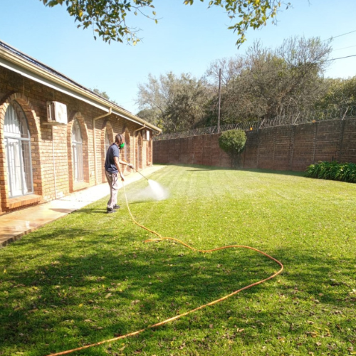 Untitled design (53)