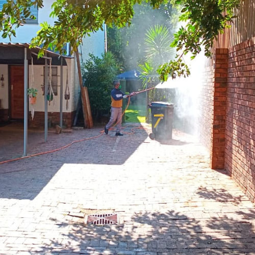 Untitled design (54)